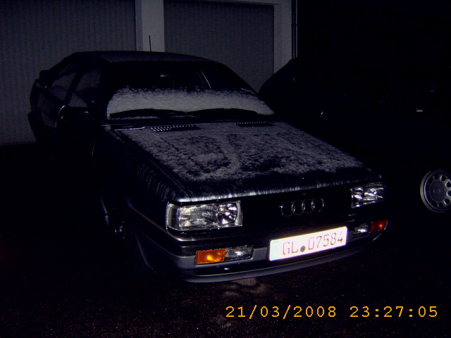 Coupe 21.03.08 001.jpg