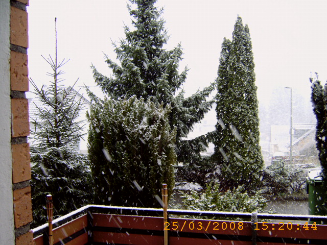 Schneeschauer 25.M&auml;rz 2008 001.jpg