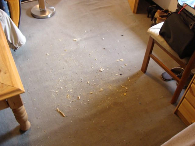 Sitzrepa Malin66 002.jpg