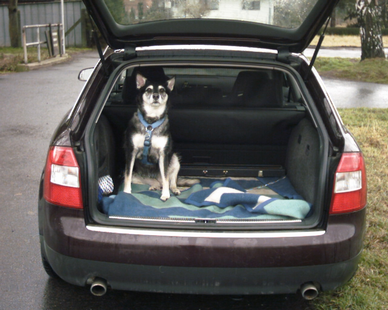 AAAA0009.jpg AAAA0009.jpg