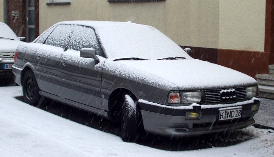 grauimschnee.jpg grauimschnee.jpg